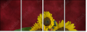 45812888