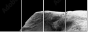 46583459