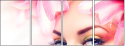 46892780