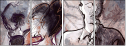46957513