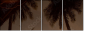4823952