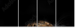 48606369