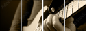 48987688