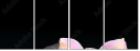 49497530