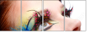 50908803