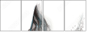 51554191