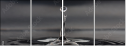 51619590
