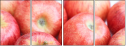51930059
