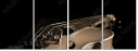 5221137