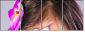 52845719