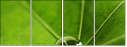 53517860