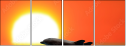 53692721