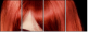 53895869