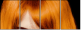 53895937