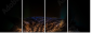54170088