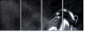 55593987