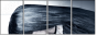 55810226