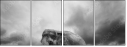 58462234