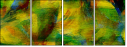 58509769