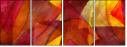 58509774