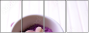 59034418