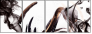 59808292