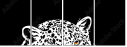 60173514