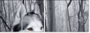 60177878