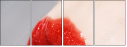 60543232