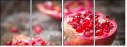 61040220