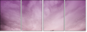 65457825