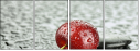 67079233