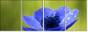 6756687