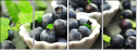 69394583