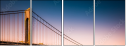 71420555