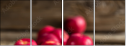 71848225