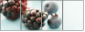 75558207