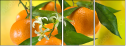 75734413