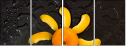 76101824