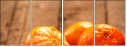 76269505