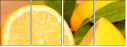 78139394
