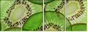 78577804