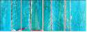 78660249