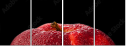78900295