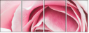 95247840