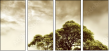 11108613