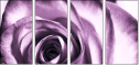 11865044