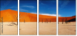 12976313