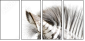 17246984