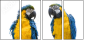 18738718